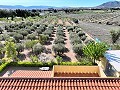 Villa mit wunderschöner Aussicht in Caudete in Alicante Dream Homes Castalla 