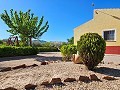 Villa mit wunderschöner Aussicht in Caudete in Alicante Dream Homes Castalla 