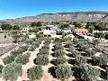 Villa mit wunderschöner Aussicht in Caudete in Alicante Dream Homes Castalla 