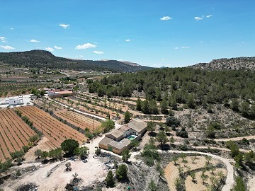 Unique Spanish Finca with excellent potential in Pinoso