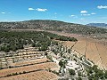 Unique Spanish Finca with excellent potential in Pinoso in Alicante Dream Homes Castalla 