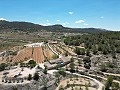 Unique Spanish Finca with excellent potential in Pinoso in Alicante Dream Homes Castalla 