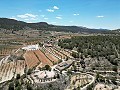 Unique Spanish Finca with excellent potential in Pinoso in Alicante Dream Homes Castalla 