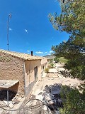 Unique Spanish Finca with excellent potential in Pinoso in Alicante Dream Homes Castalla 