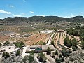 Unique Spanish Finca with excellent potential in Pinoso in Alicante Dream Homes Castalla 