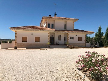 Beautiful villa with pool in Pinoso