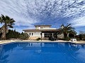 Beautiful villa with pool in Pinoso in Alicante Dream Homes Castalla 