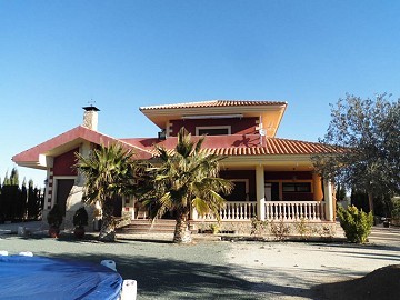 Wonderful villa with pool and garden in Pinoso