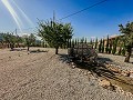 Atemberaubende Neubauvillen inklusive Grundstück und Pool in Alicante Dream Homes Castalla 