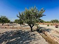 Atemberaubende Neubauvillen inklusive Grundstück und Pool in Alicante Dream Homes Castalla 