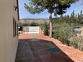 Villa mit 3 Schlafzimmern, großem Pool und Spaziergang in die Stadt in Alicante Dream Homes Castalla 