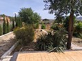 Villa mit 3 Schlafzimmern, großem Pool und Spaziergang in die Stadt in Alicante Dream Homes Castalla 