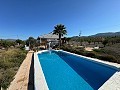 3 Bedroom Villa in Sax in Alicante Dream Homes Castalla 