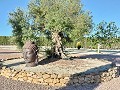 Villa mit unglaublicher Aussicht in einem kleinen Dorf nur wenige Minuten von Pinoso entfernt in Alicante Dream Homes Castalla 