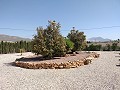 Villa mit unglaublicher Aussicht in einem kleinen Dorf nur wenige Minuten von Pinoso entfernt in Alicante Dream Homes Castalla 