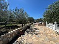 Charmantes Landhaus mit 5 Schlafzimmern und 3 Bädern in Alicante Dream Homes Castalla 