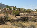 Schönes Landhaus mit 3 Schlafzimmern in Alicante Dream Homes Castalla 