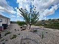 Huis met 3 slaapkamers en 15 kW zonne-energie met grote kamers in Alicante Dream Homes Castalla 