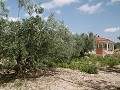 Grande villa à 4 km de Yecla in Alicante Dream Homes Castalla 