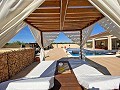 3 Bedroom 2 Bathroom Villa Pinoso in Alicante Dream Homes Castalla 