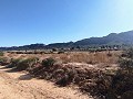 Atemberaubendes Landhaus in den Bergen von Yecla in Alicante Dream Homes Castalla 