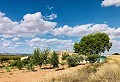 Wunderschön erhaltenes Landhaus in atemberaubender Yecla-Lage in Alicante Dream Homes Castalla 