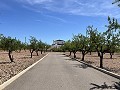 Prachtige vrijstaande villa met zwembad in Pinoso in Alicante Dream Homes Castalla 