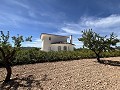 Impresionante villa independiente con piscina en Pinoso in Alicante Dream Homes Castalla 