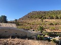 Casa cueva modernizada en las montañas in Alicante Dream Homes Castalla 