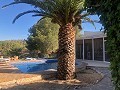 Teilmodernisiertes Höhlenhaus in den Bergen in Alicante Dream Homes Castalla 