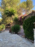 Casa cueva modernizada en las montañas in Alicante Dream Homes Castalla 