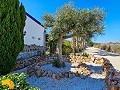 6 soveværelser 5 badeværelser Finca Catral in Alicante Dream Homes Castalla 