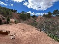 Maison de campagne à Pinoso avec 2 chambres troglodytes in Alicante Dream Homes Castalla 