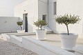 Prachtige villa met 5 slaapkamers en 6 badkamers in Alicante Dream Homes Castalla 