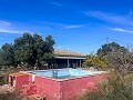 Maison de campagne avec piscine et maison d'hôtes entre Sax et Salinas in Alicante Dream Homes Castalla 