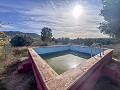 Maison de campagne avec piscine et maison d'hôtes entre Sax et Salinas in Alicante Dream Homes Castalla 