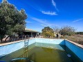 Maison de campagne avec piscine et maison d'hôtes entre Sax et Salinas in Alicante Dream Homes Castalla 